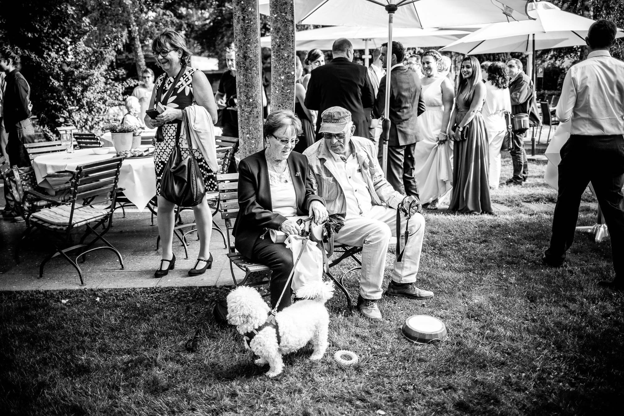 Export x3 5D4 4808 Hochzeit 2017 Sabine & Yves